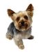 fido